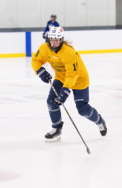 Sanford Sports Bemidji hockey